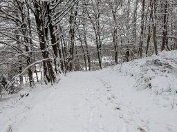 2026 BuLi 25/26 Tag4