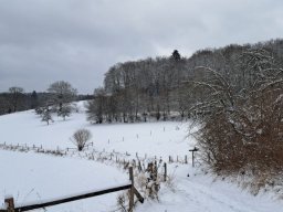 2026 BuLi 25/26 Tag4